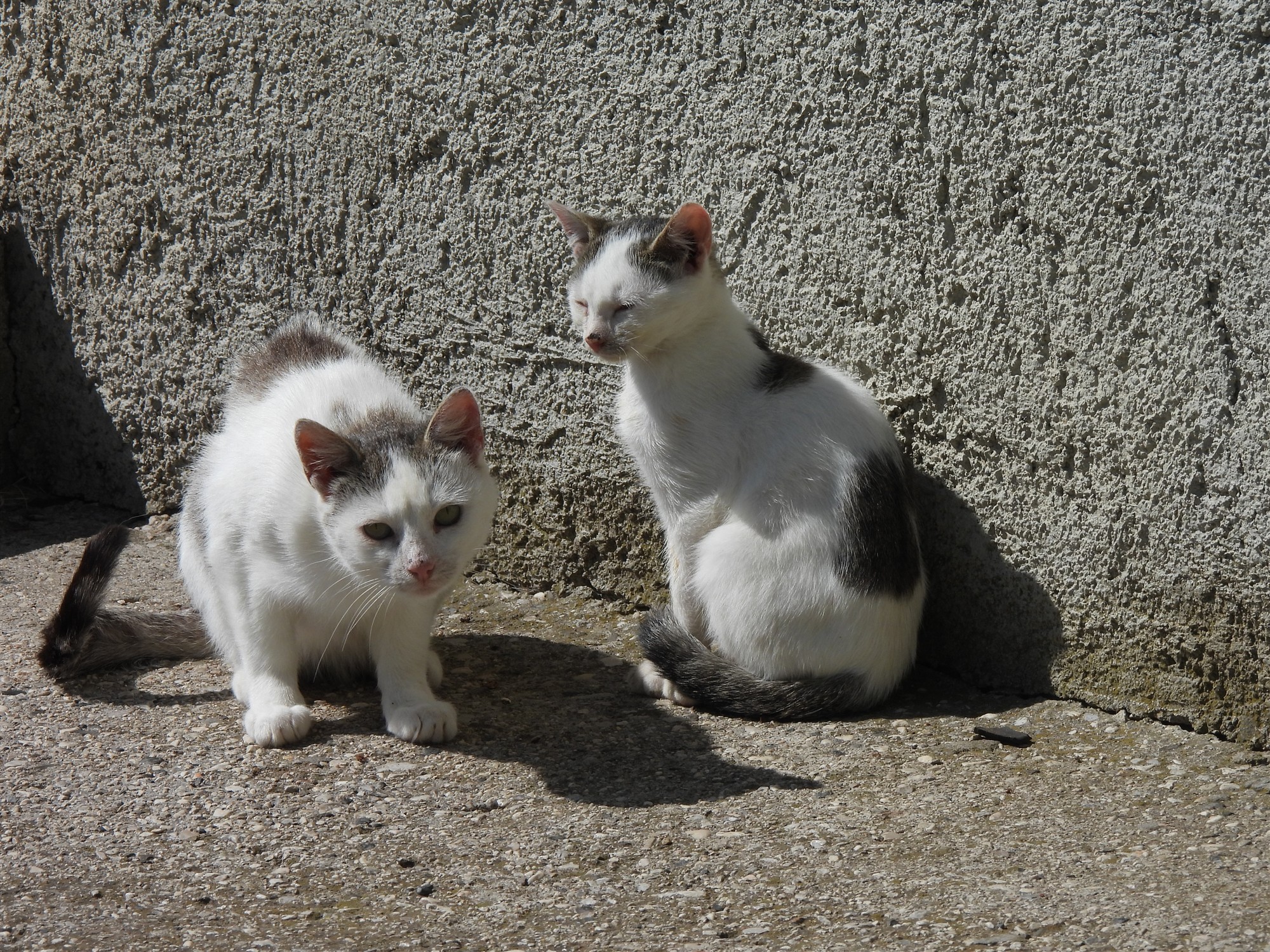 Pogled na okoliške gore