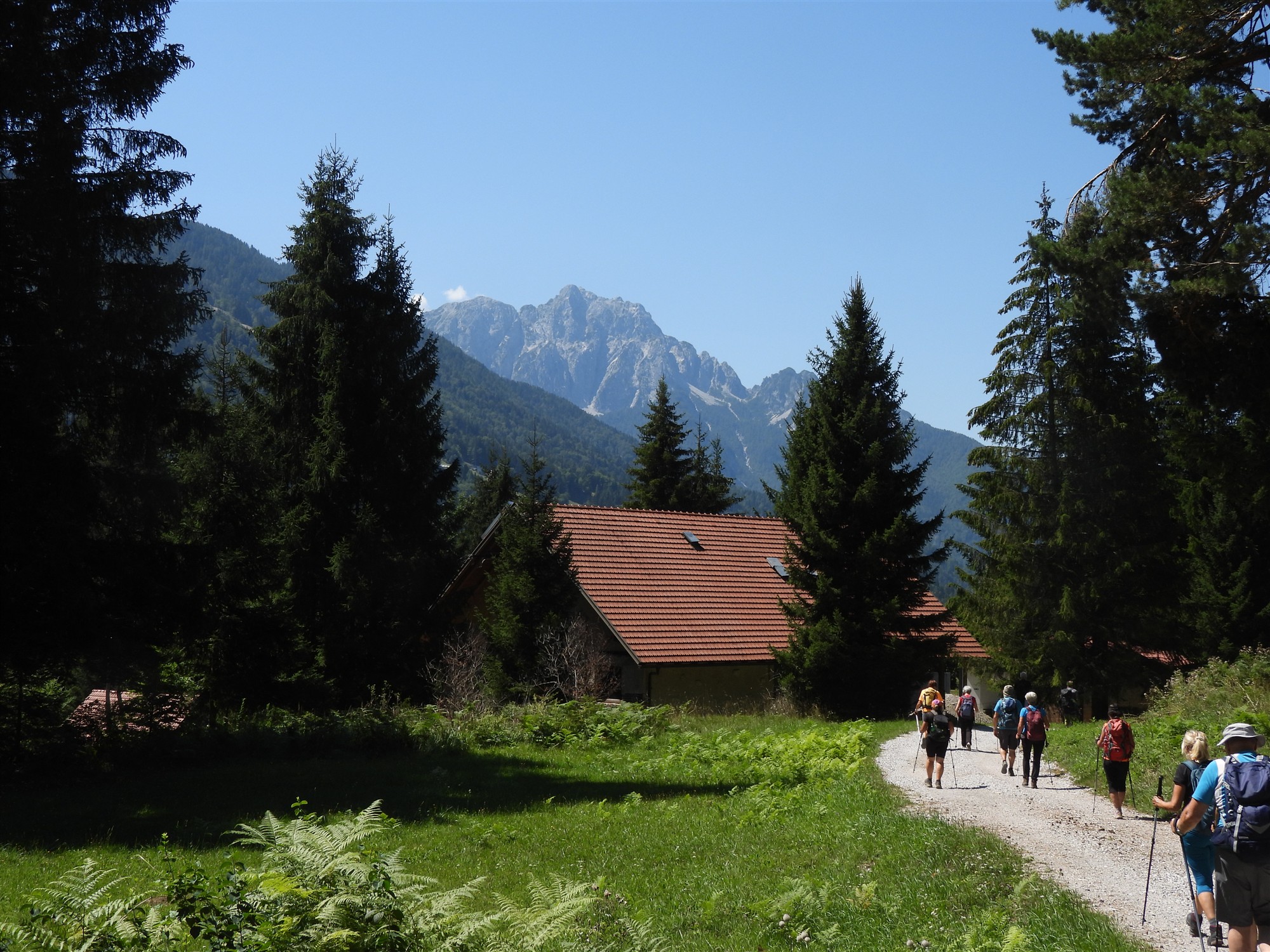 Fotografski utrinek z izleta na Srednji vrh