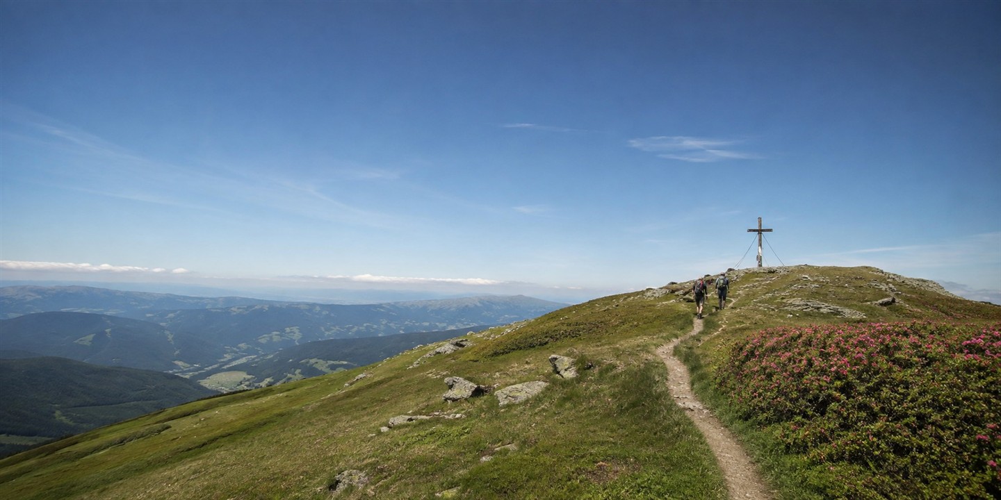 Svinška planina oziroma Ladinger Spitze